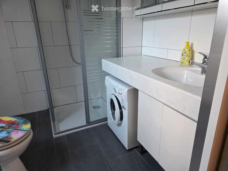 1-Zimmer-Dachstudio mit Jurablick und Sitzplatz in Reiden (3)