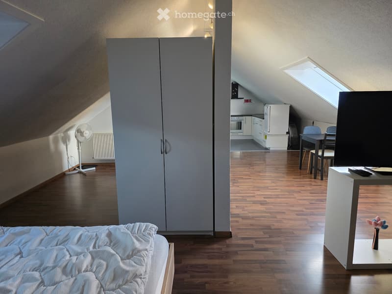 1-Zimmer-Dachstudio mit Jurablick und Sitzplatz in Reiden (1)