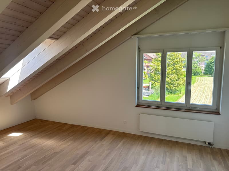 exklusive 5.5 Zimmerwohnung (5)
