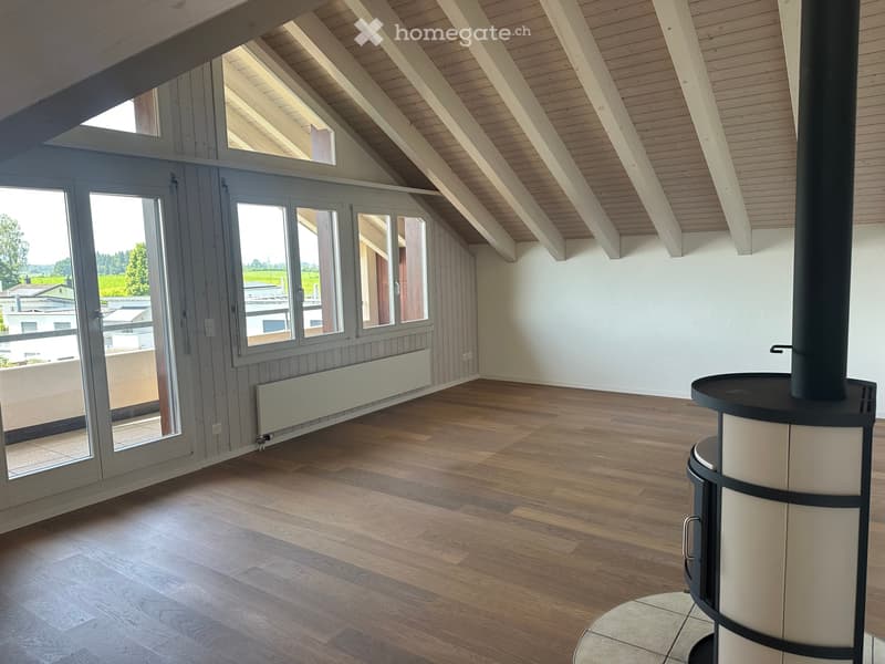 exklusive 5.5 Zimmerwohnung (2)