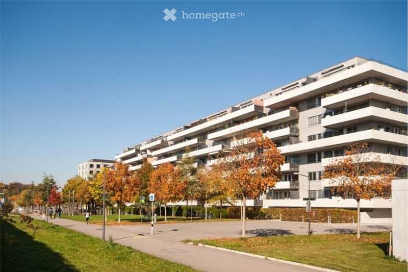 Moderne, lichtdurchflutete 4.5 Zimmer Whng in zentraler Lage (1)