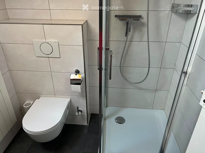 6.5 Zimmer Einfamilienhaus (5)