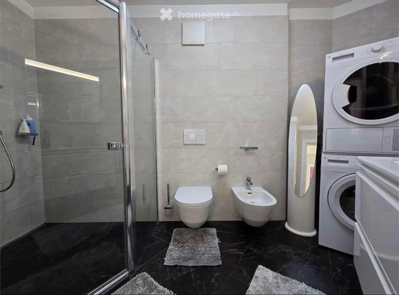 Stupendo 3.5 locali 100 mq (4)