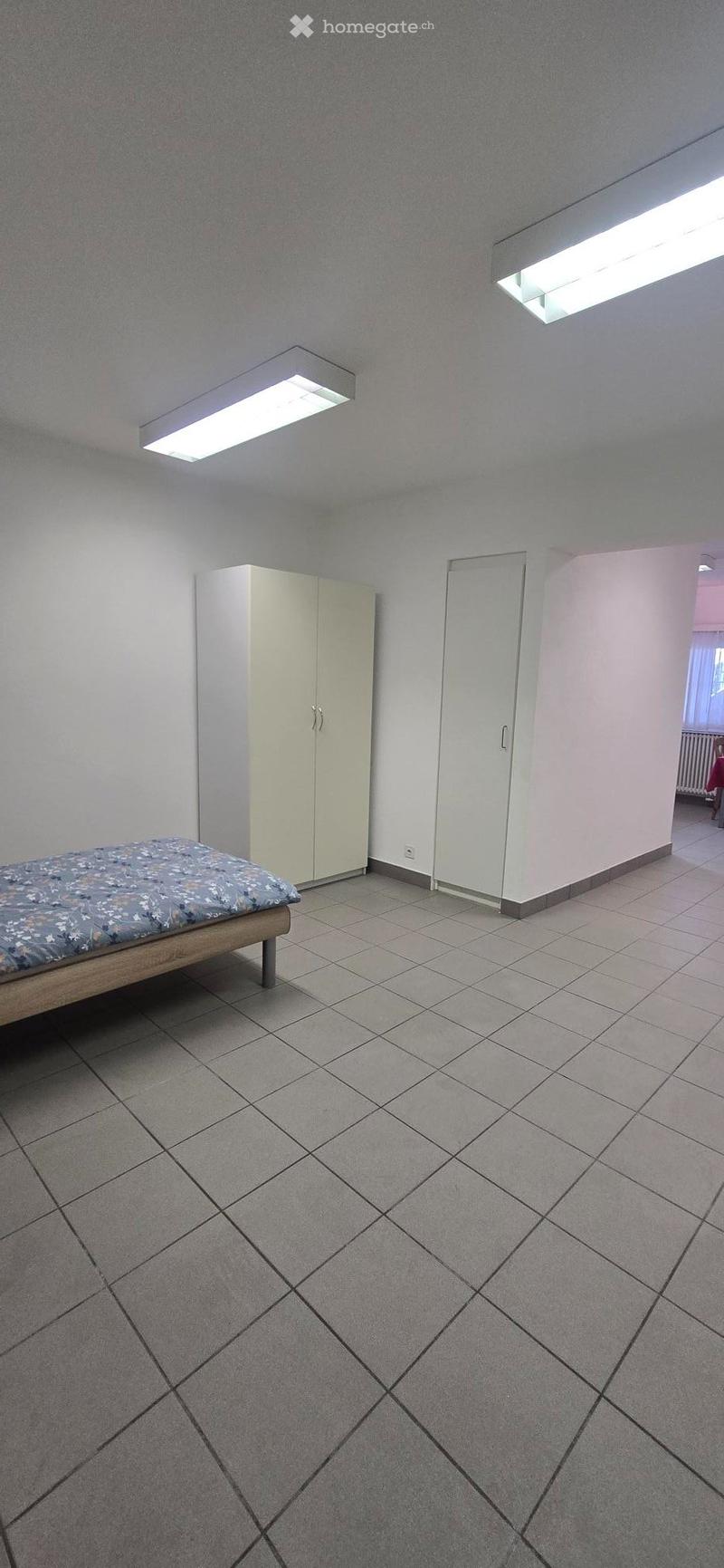 Appartamento bilocale al PT - open space (5)