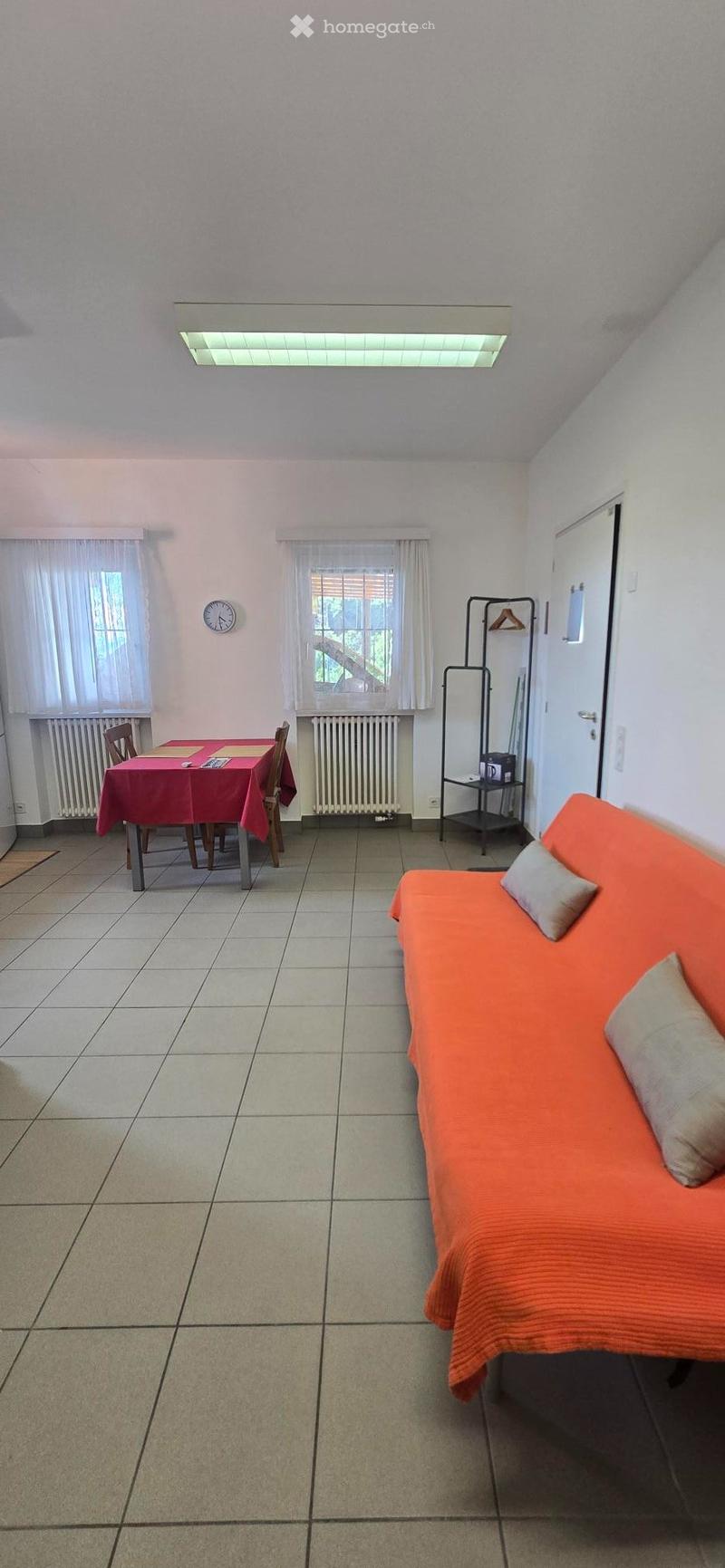 Appartamento bilocale al PT - open space (3)
