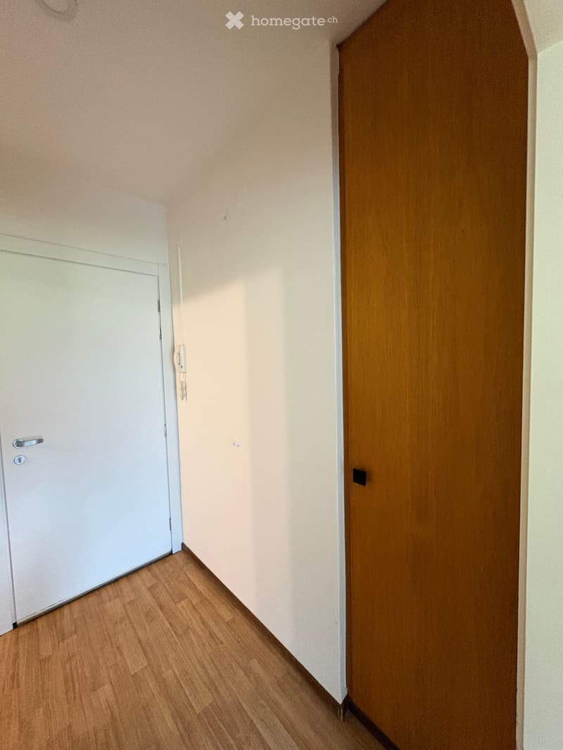 Cercasi subentrante Appartamento 2.5 locali a Tenero (9)