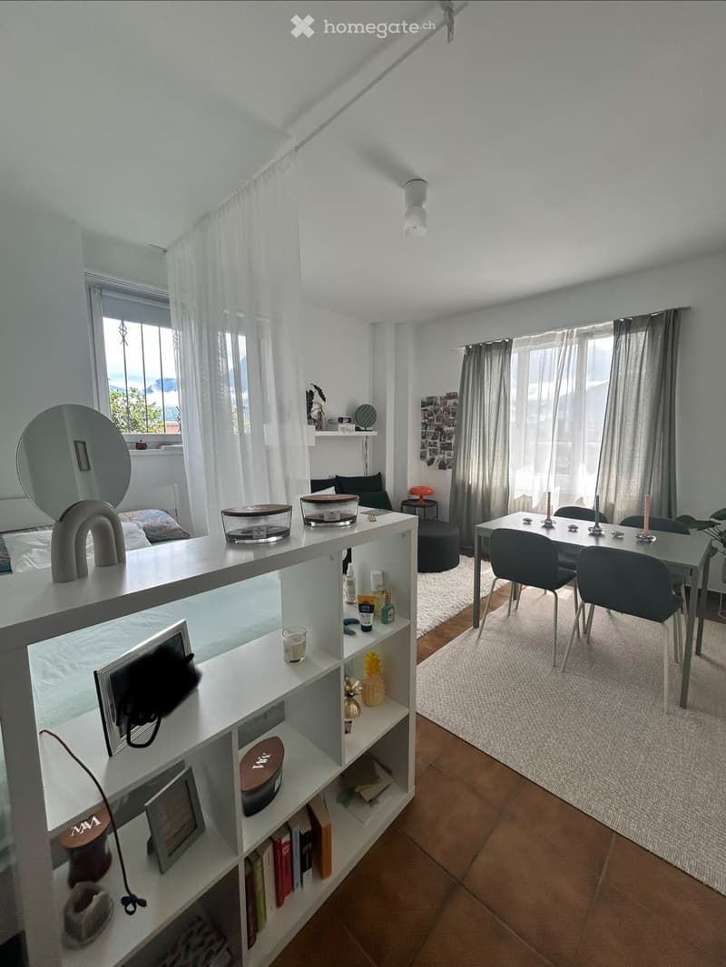 Appartamento 1.5 locali zona Sorengo (6)