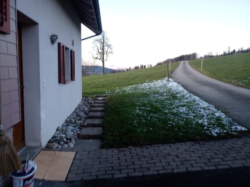 2.5 Zi.-Wohnung (5)