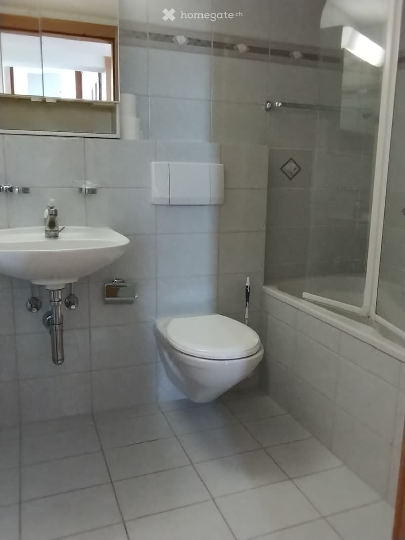 2.5 Zi.-Wohnung (2)