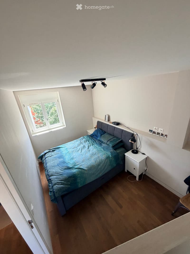 Sublet beautiful apartment Plainpalais top floor (4)