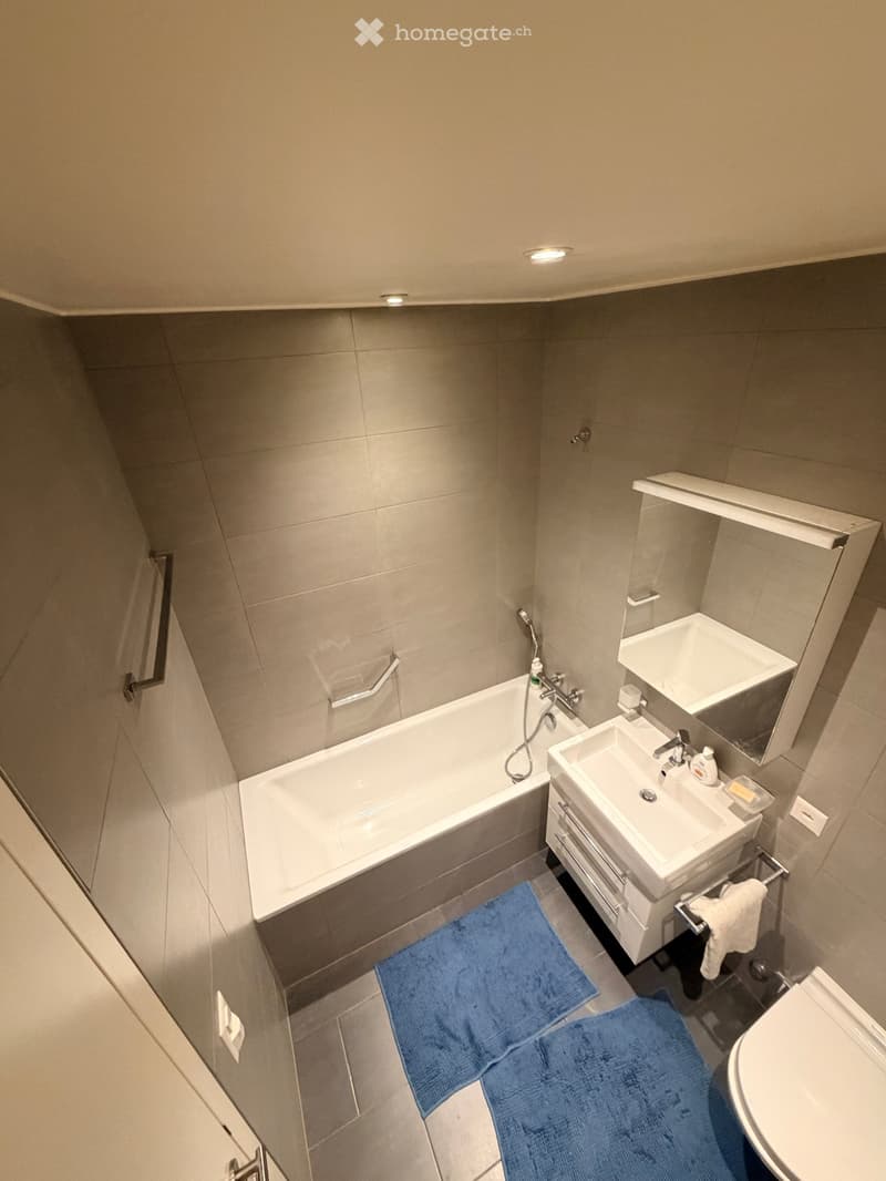 Sublet beautiful apartment Plainpalais top floor (3)
