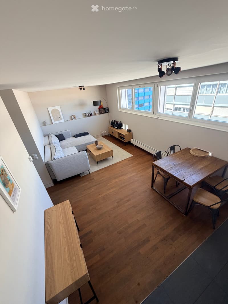Sublet beautiful apartment Plainpalais top floor (1)