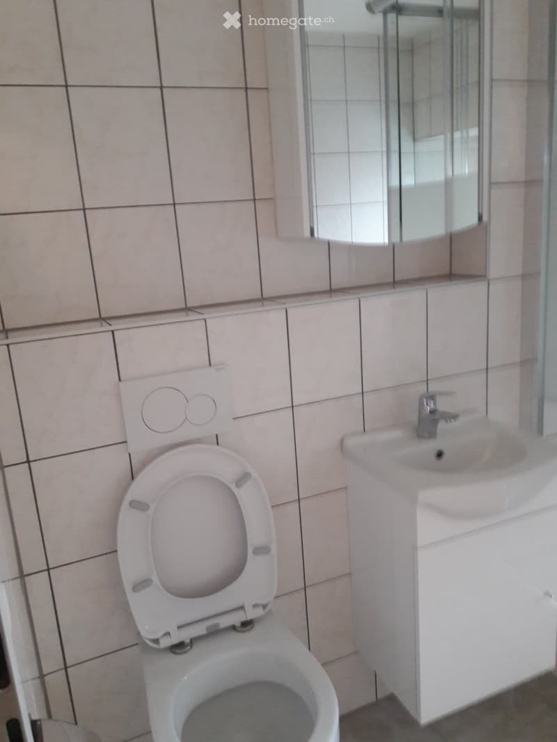 Zu verm. ab 1. Juli oder nach Vereinb. 2 Z. Whg (2)