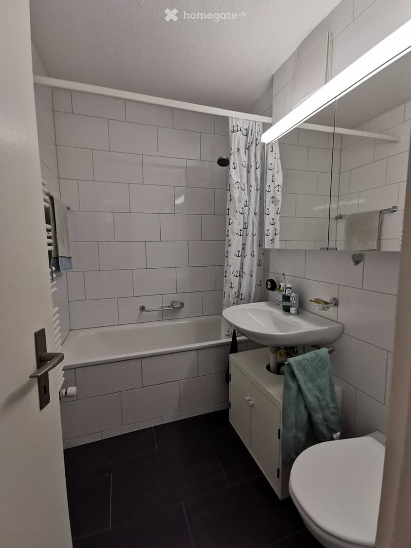 Helle 2,5 Zimmer-Wohnung in Bremgarten zur Zwischenmiete. (4)
