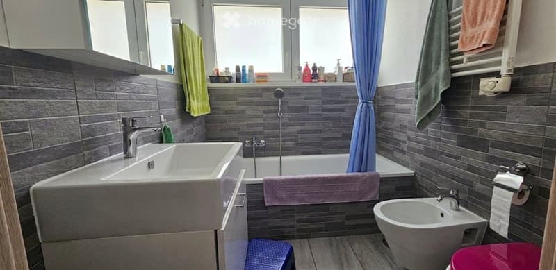 Cercasi Subentrante a 6874 Castel San Pietro (4)