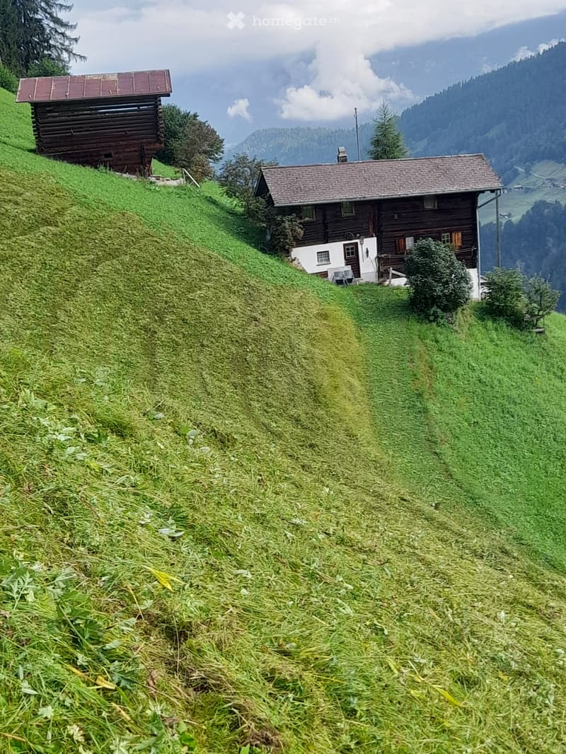 zu Vermieten (1)