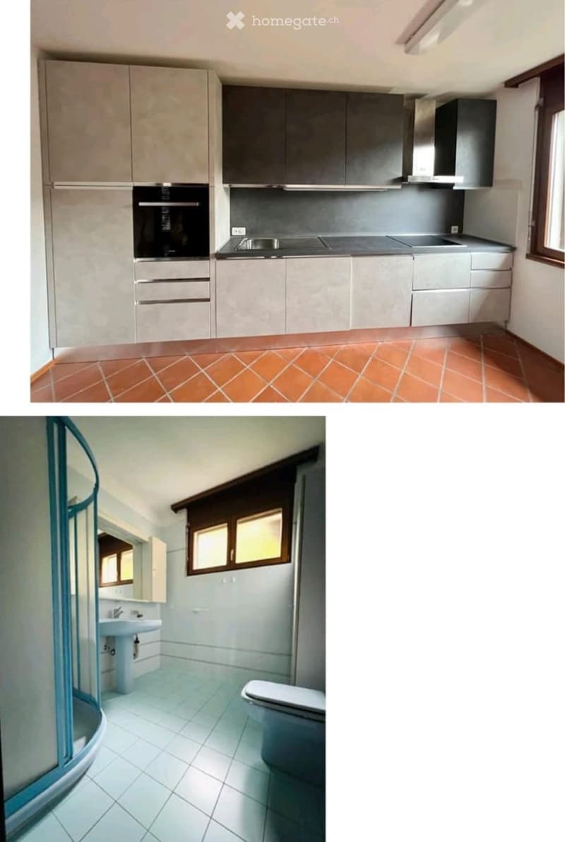 Cerco subentrante appartamento 5.5 locali giardino,terrazza (4)