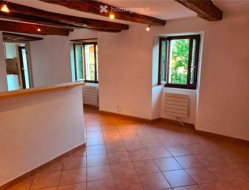 Affittasi appartamento con terrazza e giardino privato (2)