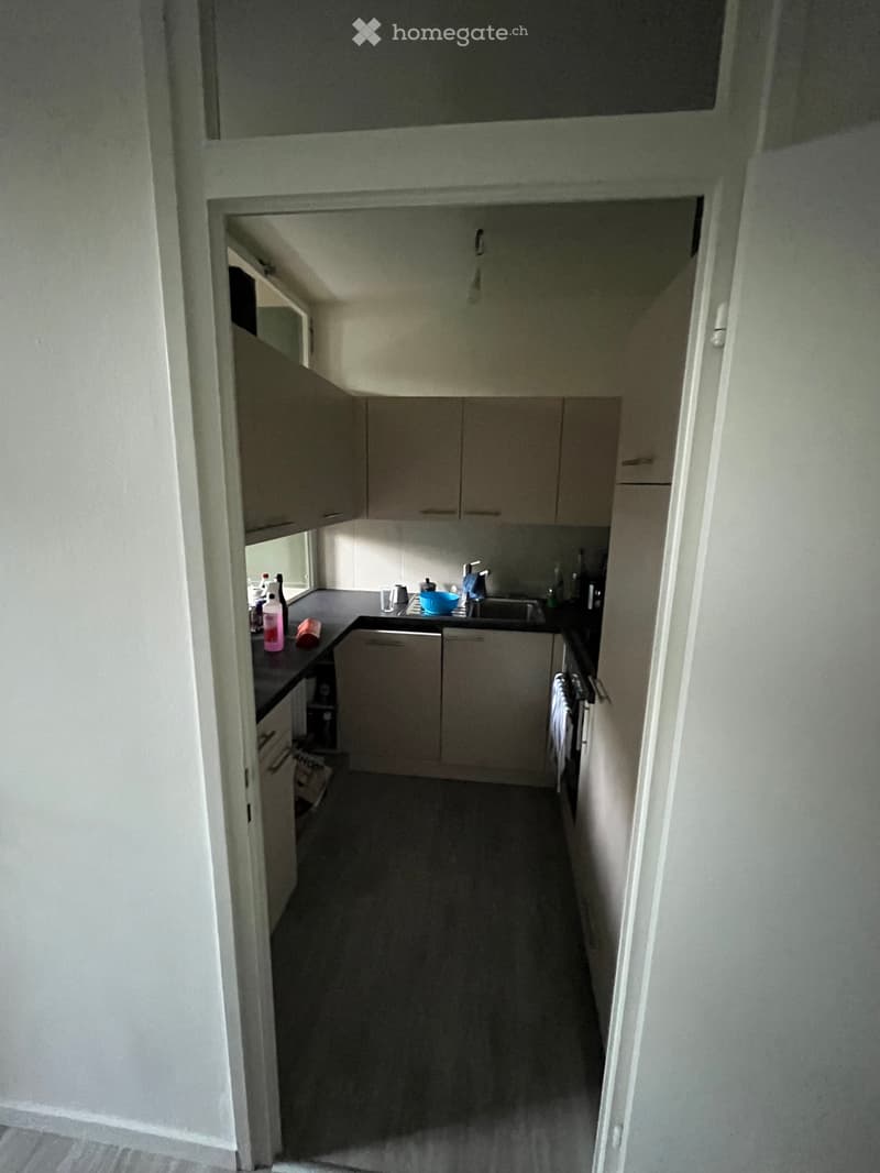 Cerco subentrante 2.5 locali ristrutturato a Massagno (4)