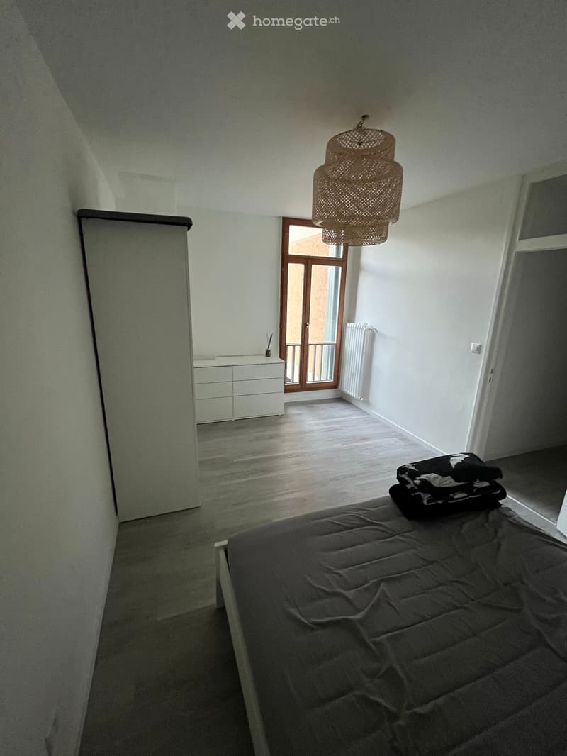 Cerco subentrante 2.5 locali ristrutturato a Massagno (1)