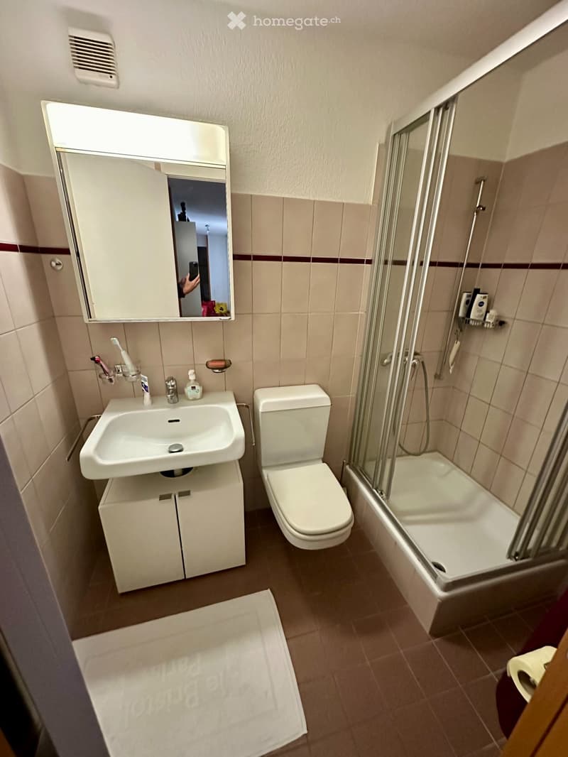 1 furnished room for subletting, close to Zürich HB (3)