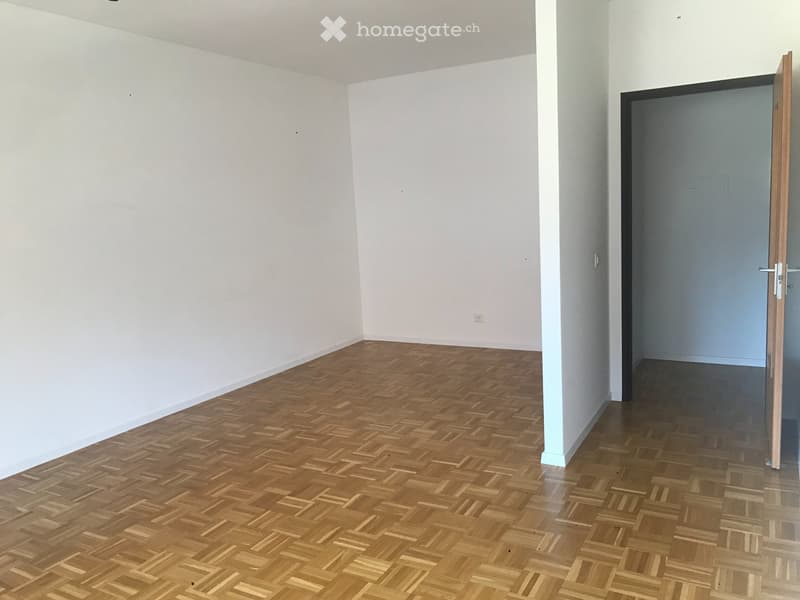 Bellissimo app. 1.5 locali a Breganzona con piscina. (2)