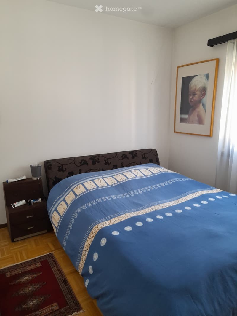 3.5 locali, balcone, vicino Migros e Trenino (3)