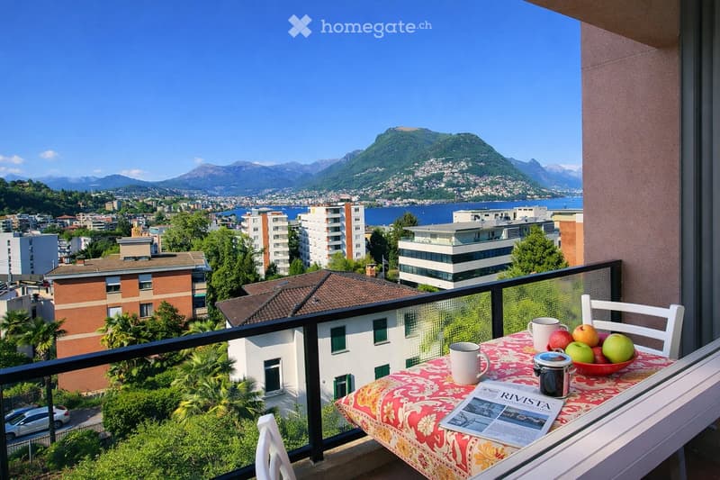 Subentro appartamento 3.5 locali  Paradiso (5)