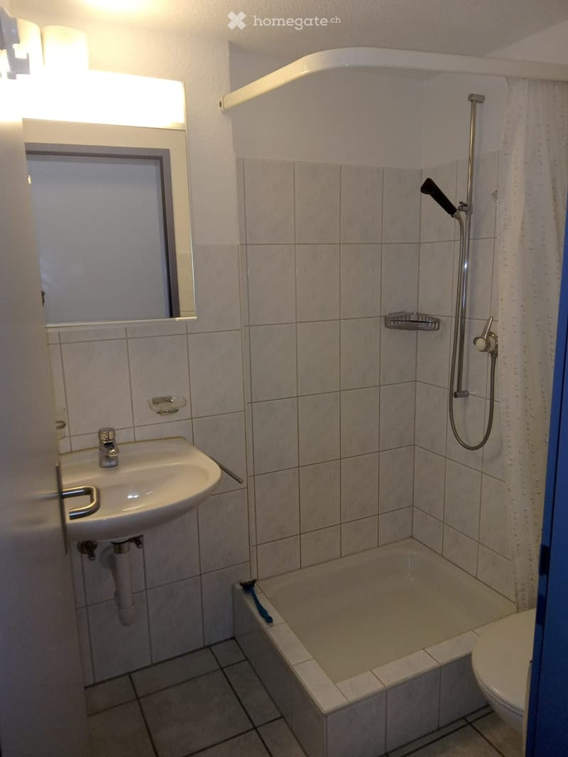 1 Zimmer Studio mit Kochnische/Bad/Keller (4)