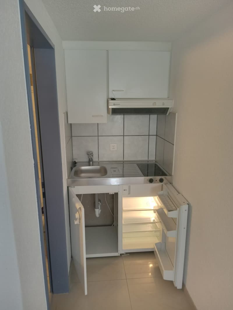 1 Zimmer Studio mit Kochnische/Bad/Keller (3)