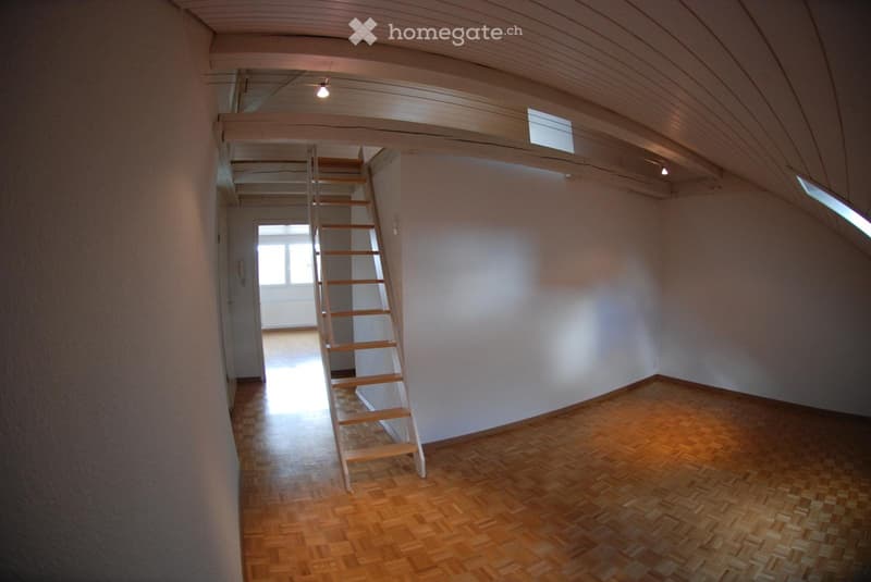 Dachwohnung mit Galerie (5)