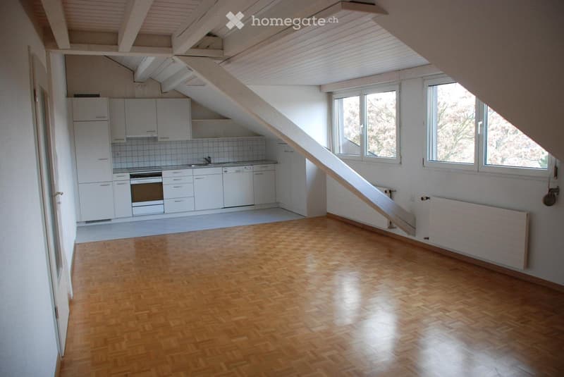 Dachwohnung mit Galerie (3)