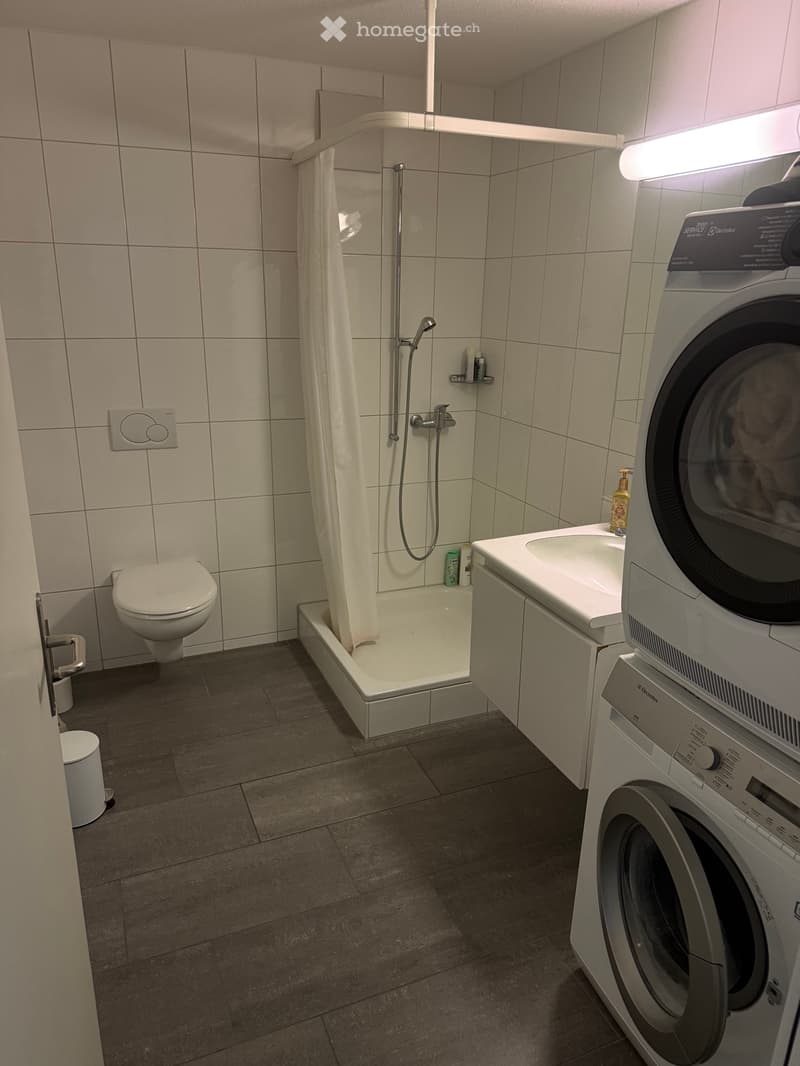 4.5 Zimmer Wohnung in Niederhasli (2)