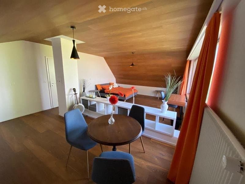 Möbliertes Studio nahe Zug  ruhig & zentral (2)