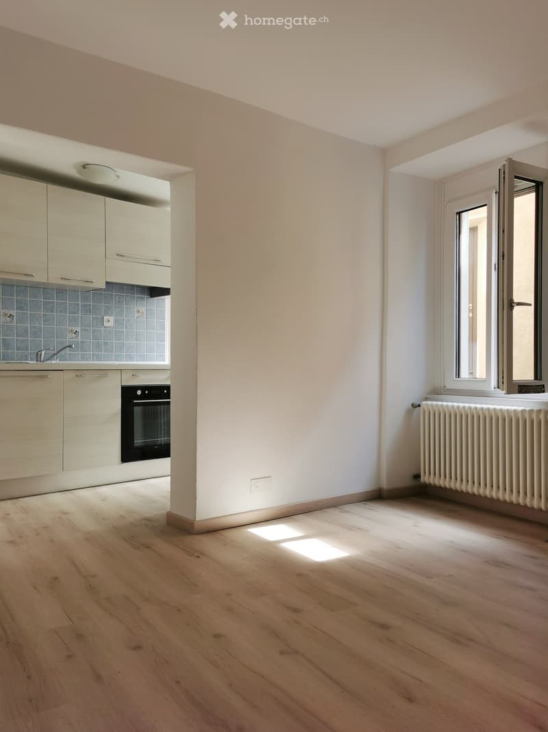 Appartamento 2 locali (2)