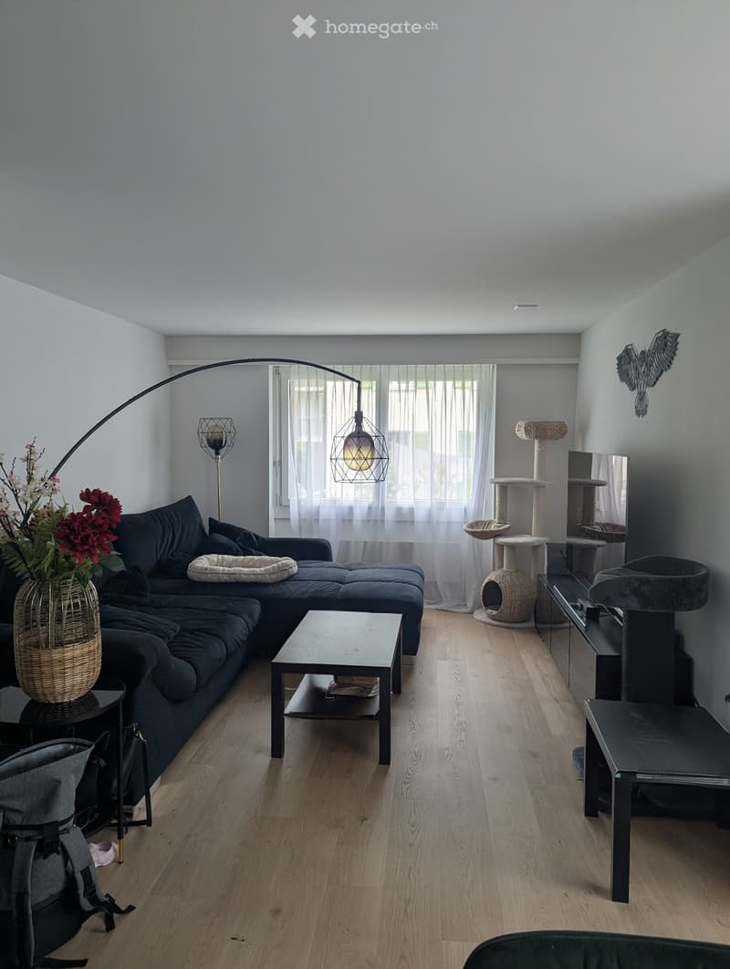 4.5 Zimmer Wohnung im Herzen von Schwyz (3)