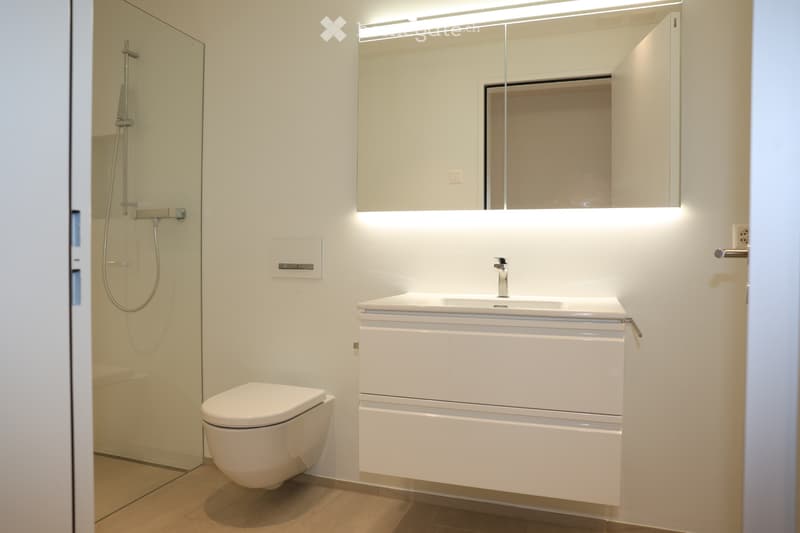 Exklusive 2 ½ Zimmer-Loft-Wohnung an zentraler Lage (4)