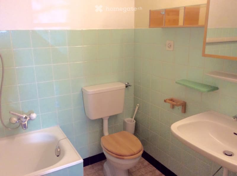 Grosse Dreizimmerwohnung mit Kachelofen (5)