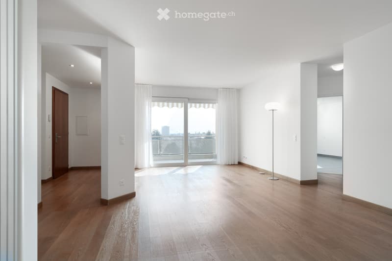 PRIVATO VENDE 3.5 luminoso e tranquillo a Pregassona (2)