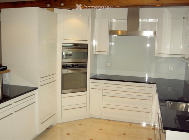 Stilvolle 2.5- bis 4-Zimmer-Loft-Maisonette-Wohnung in Basel (1)