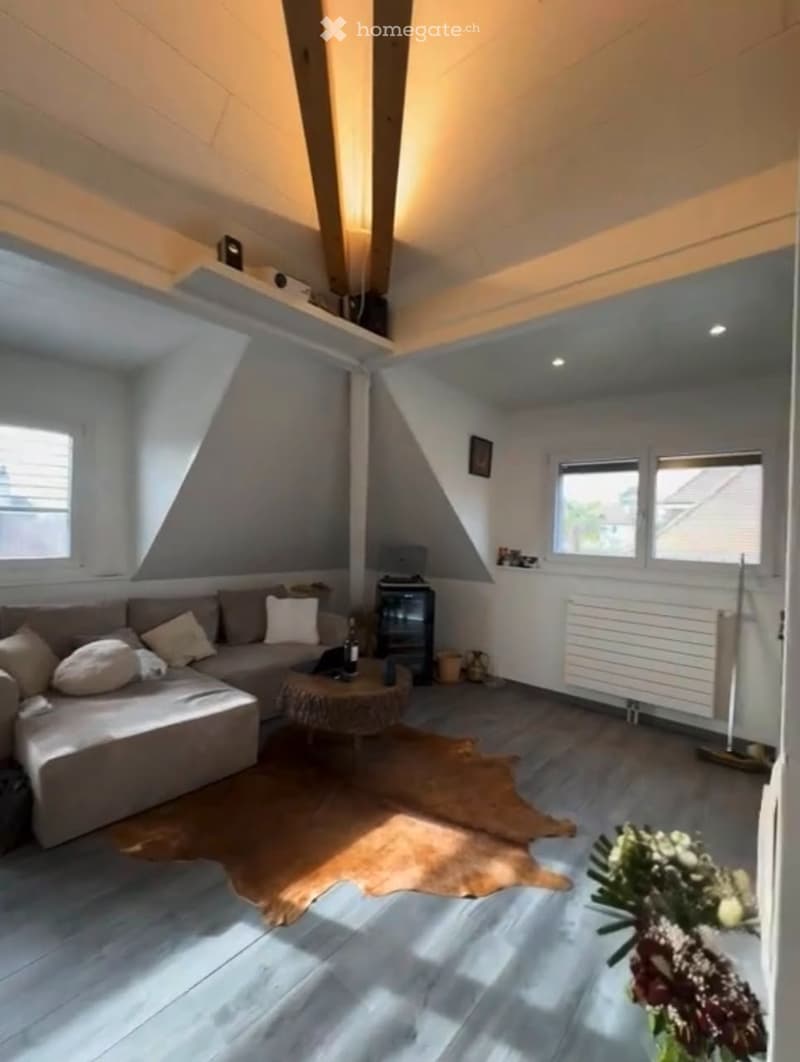 Studio meublé à louer Plainpalais (1205 Genève)** (1)