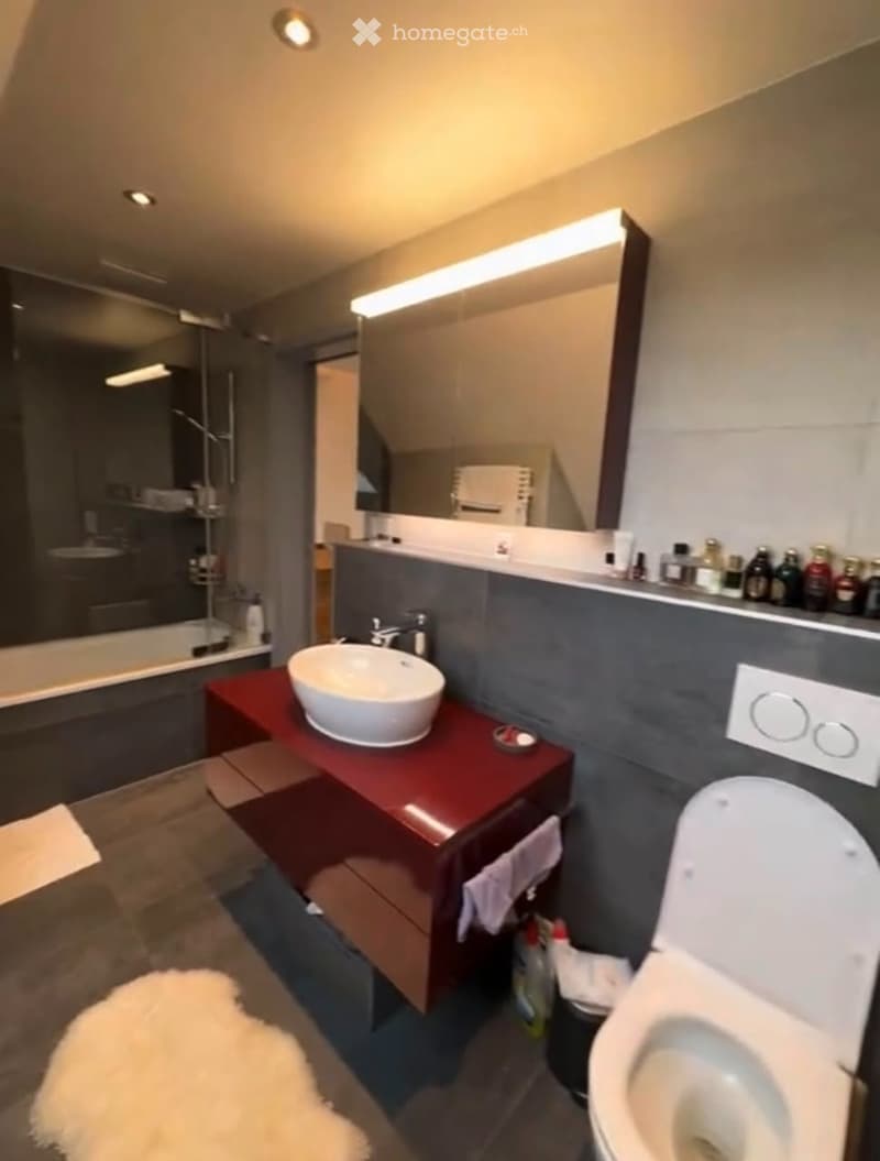Studio meublé à louer Plainpalais (1205 Genève)** (2)