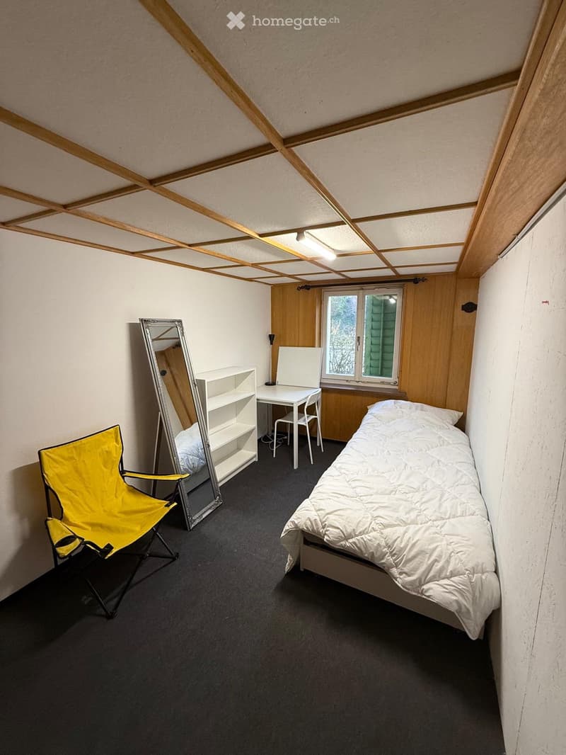 1-Zimmer in Gundetswil (1)