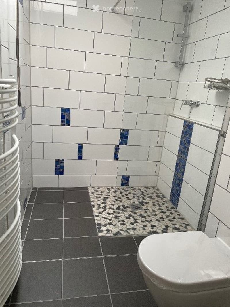 Haus an schöner Aussichtslage von Thayngen zu verkaufen (3)