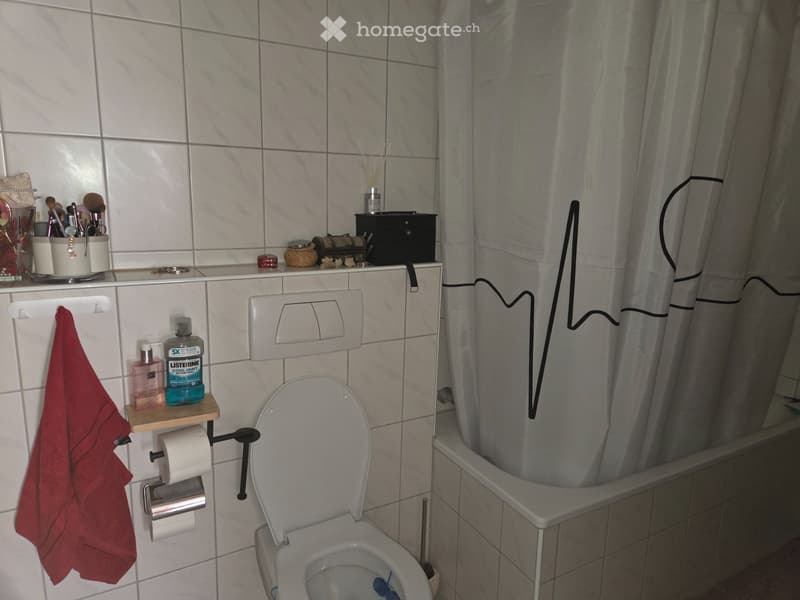 3 1/2 Zimmerwohnung Balkon Nähe Gütsch (4)