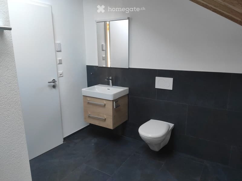 2.5 Zimmerwohnung mit Garage und grossem Balkon (3)