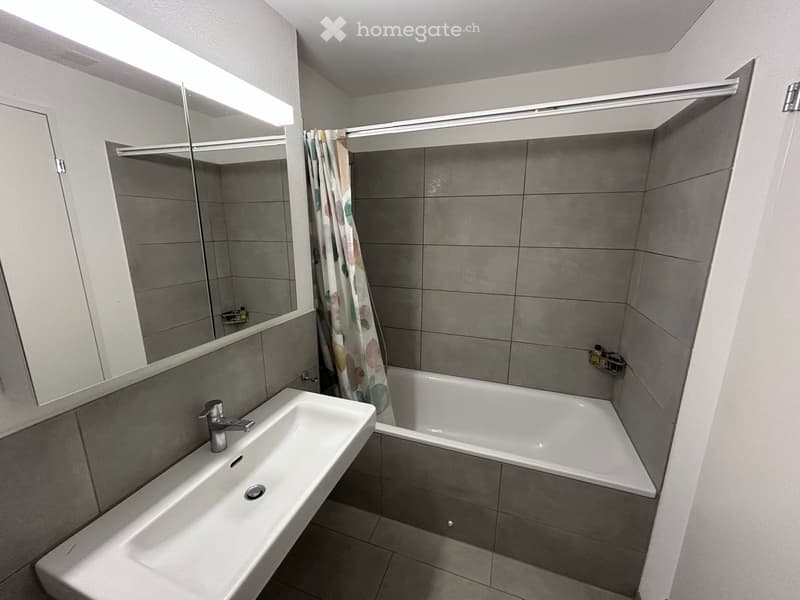 2.5 Zimmer Wohnung zu vermieten an ruhiger Lage (4)