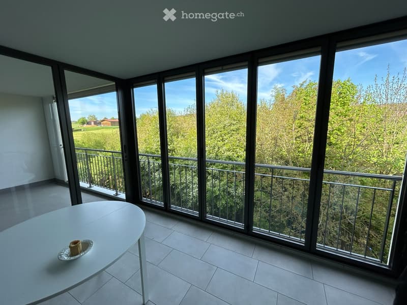 2.5 Zimmer Wohnung zu vermieten an ruhiger Lage (3)