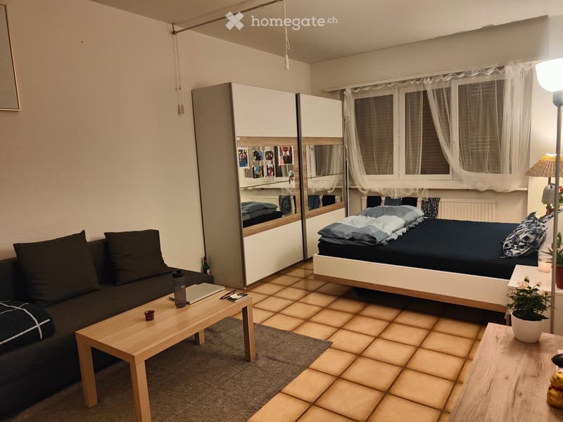 AFFITTASI appartamento di 2 locali Subentrata, Bellinzona (1)