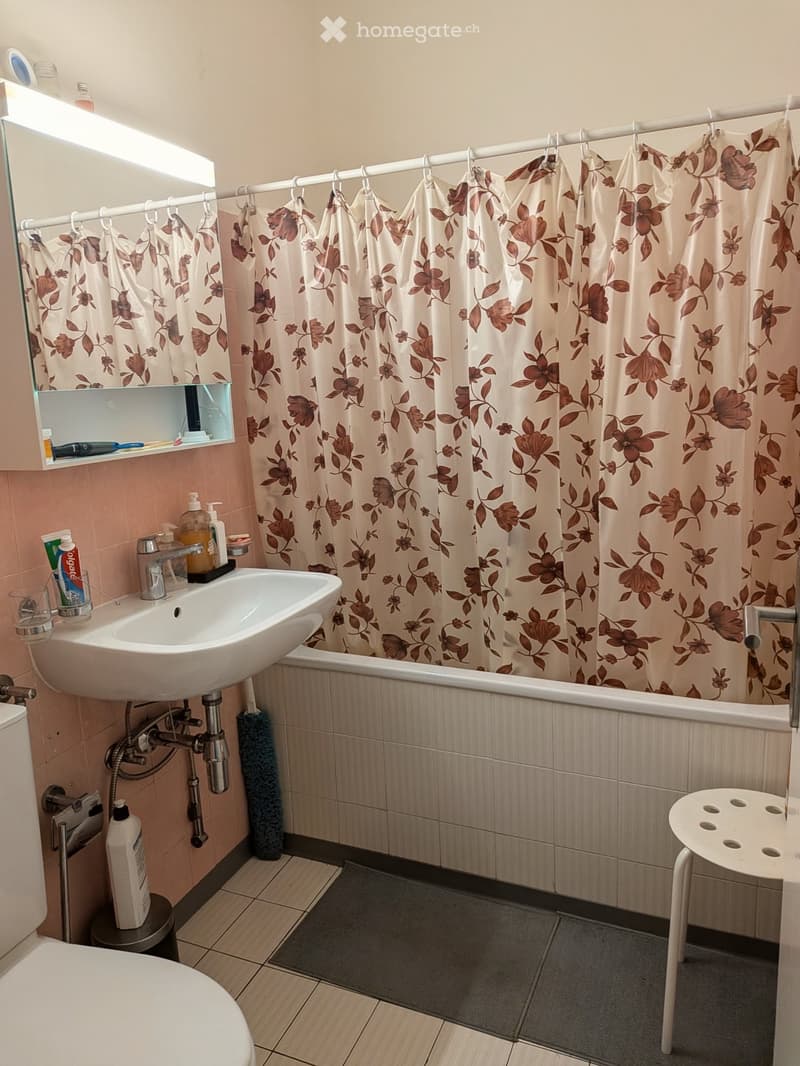 AFFITTASI appartamento di 2 locali Subentrata, Bellinzona (5)